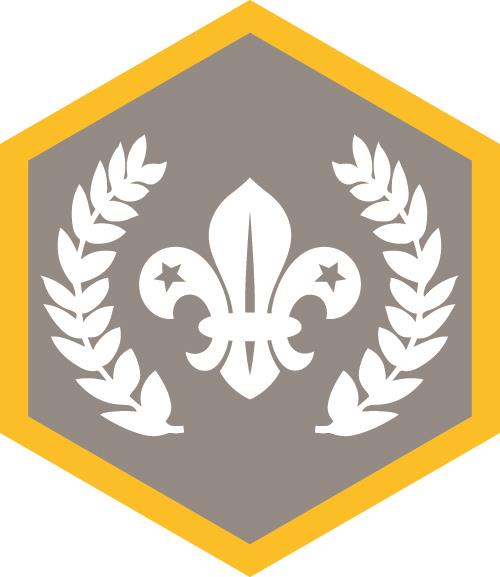 Chief Scouts Silver Award